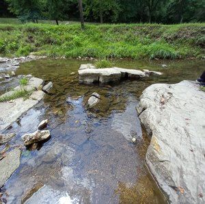 Meet your Posher, Debby